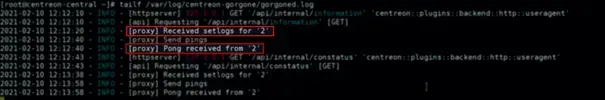 Journal gorgoned.log du Central Centreon : échanges avec le Poller d'ID 2 (réception des setlogs, envoi des pings, pong reçu) sans erreur