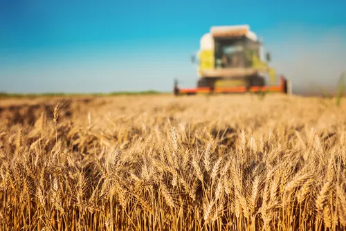 Retour d’expérience : Secteur Agro-Alimentaire